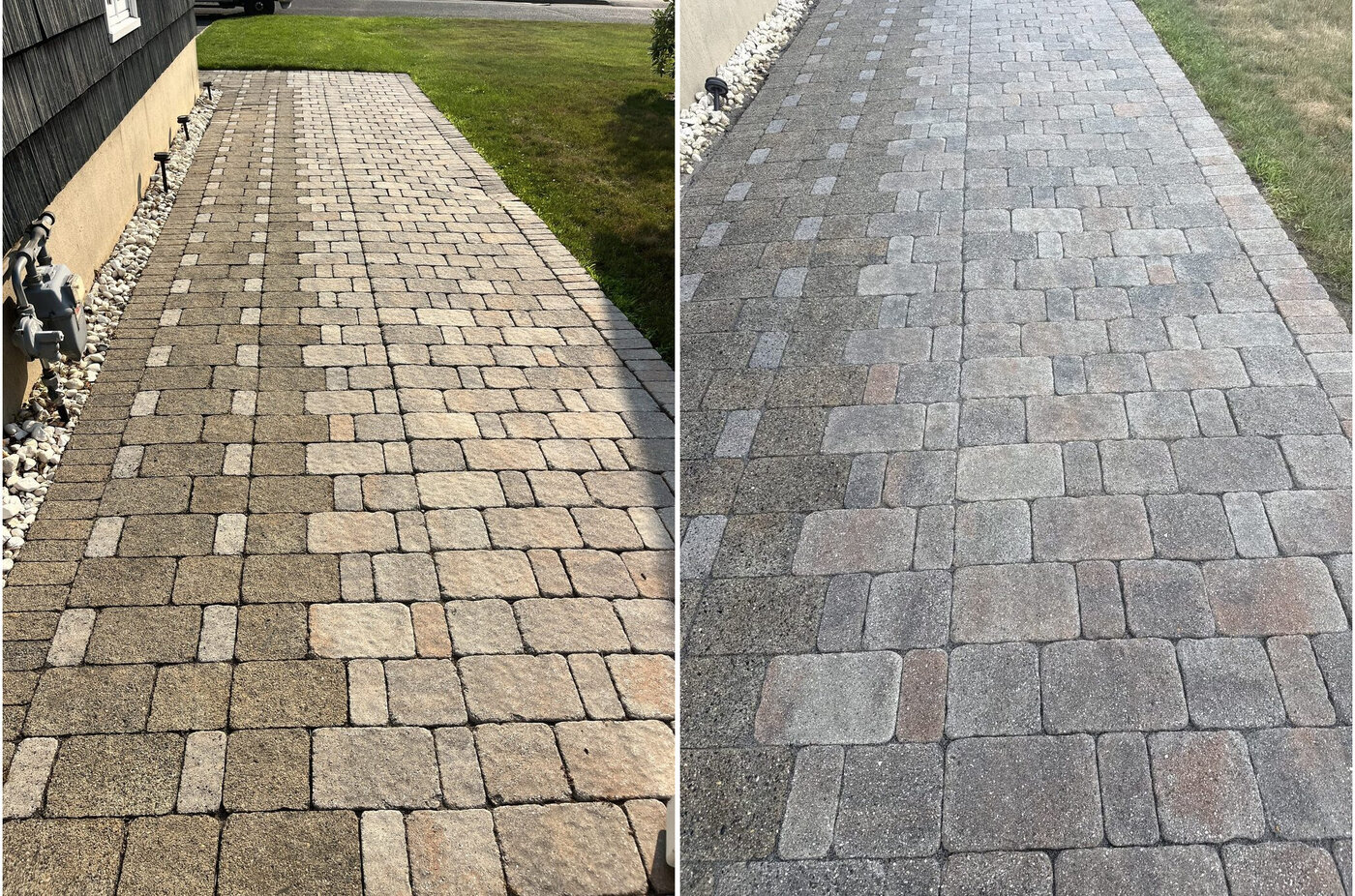 Paver walkway before and after cleaning, side by side