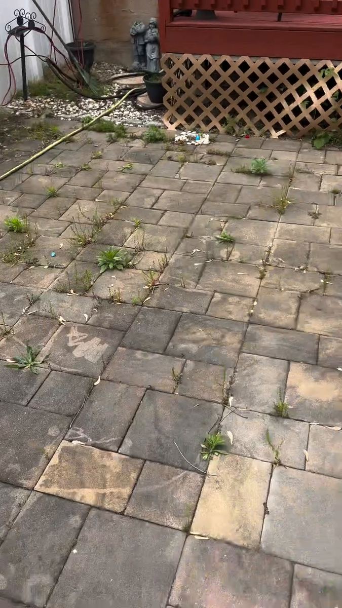 A paver patio with weeds growing from the joints and dark grime on the stones