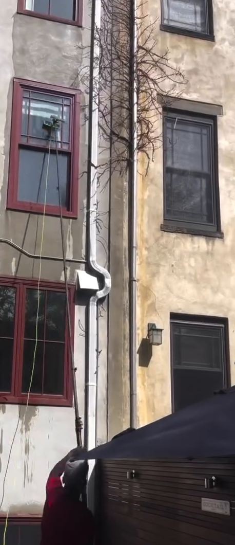 A water fed pole cleaning an upper floor window on the stucco rear of a row house