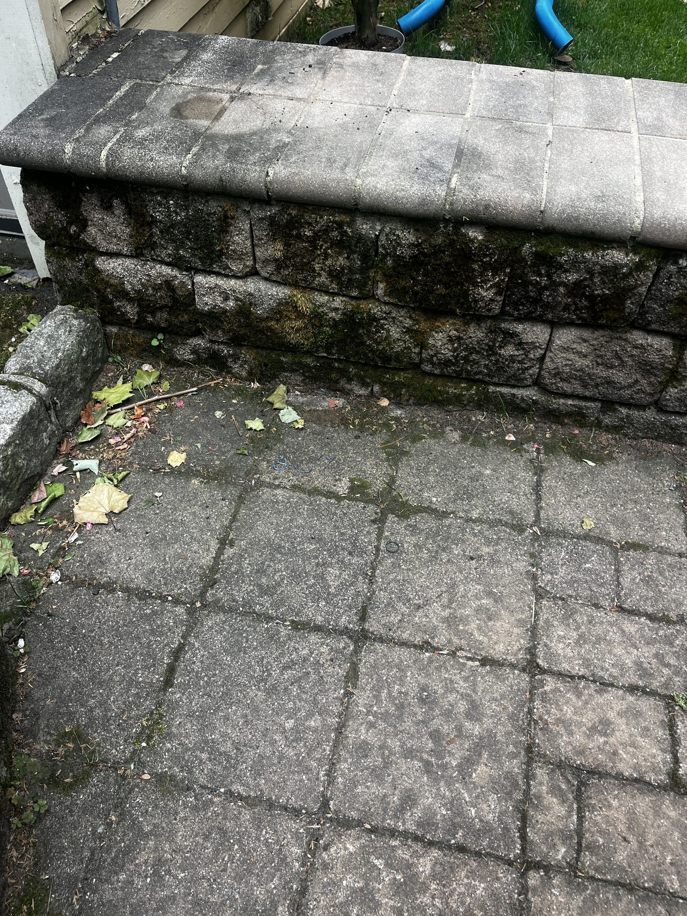 Mossy retaining wall and paver patio before cleaning