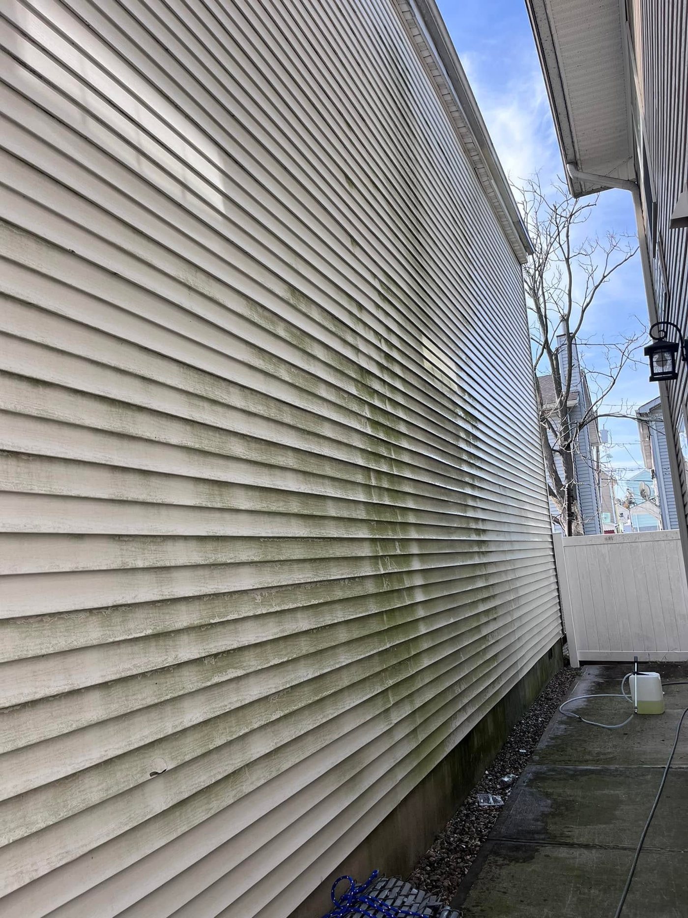 The Green Wall Problem: Why Jersey City Heights Homes Grow Algae