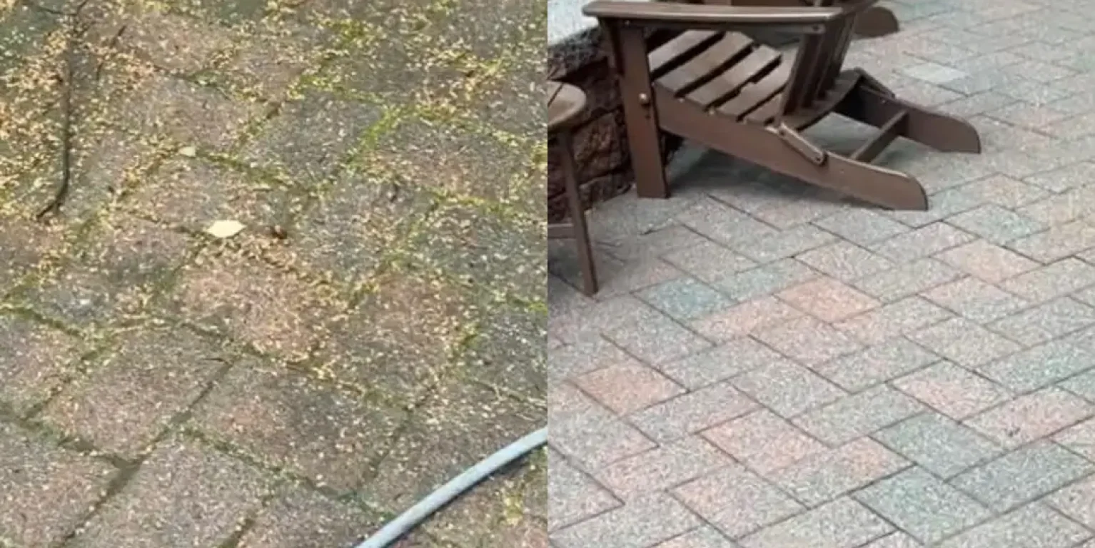 1fc61f73-fd03-4307-acd6-a5c884b16809