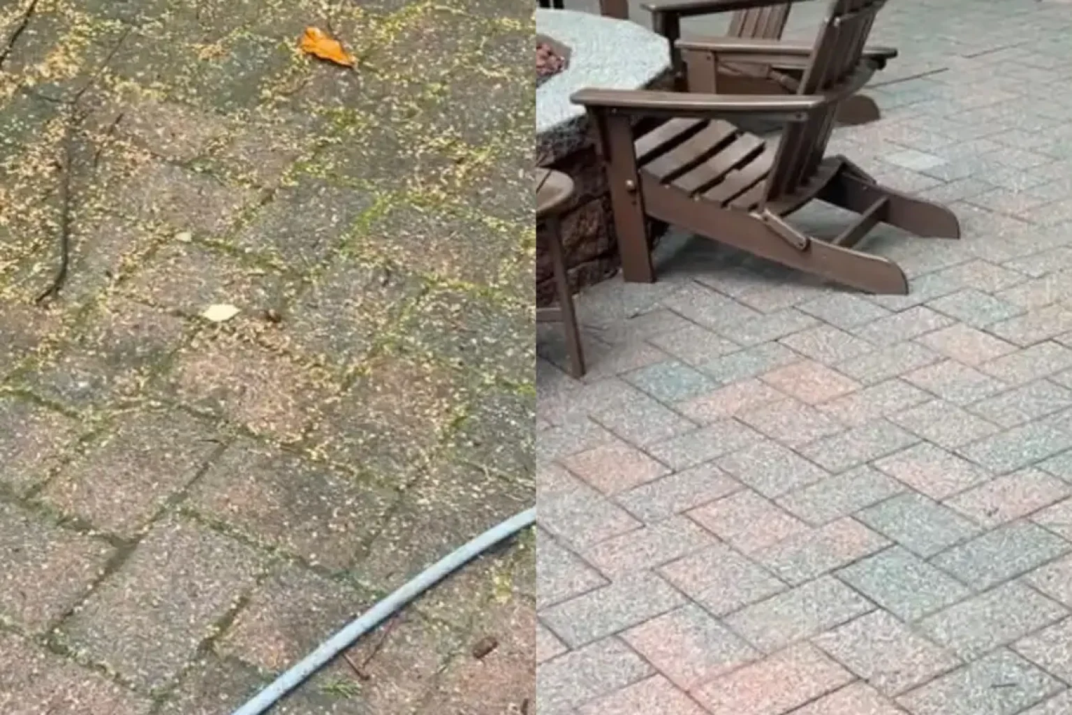 1fc61f73-fd03-4307-acd6-a5c884b16809